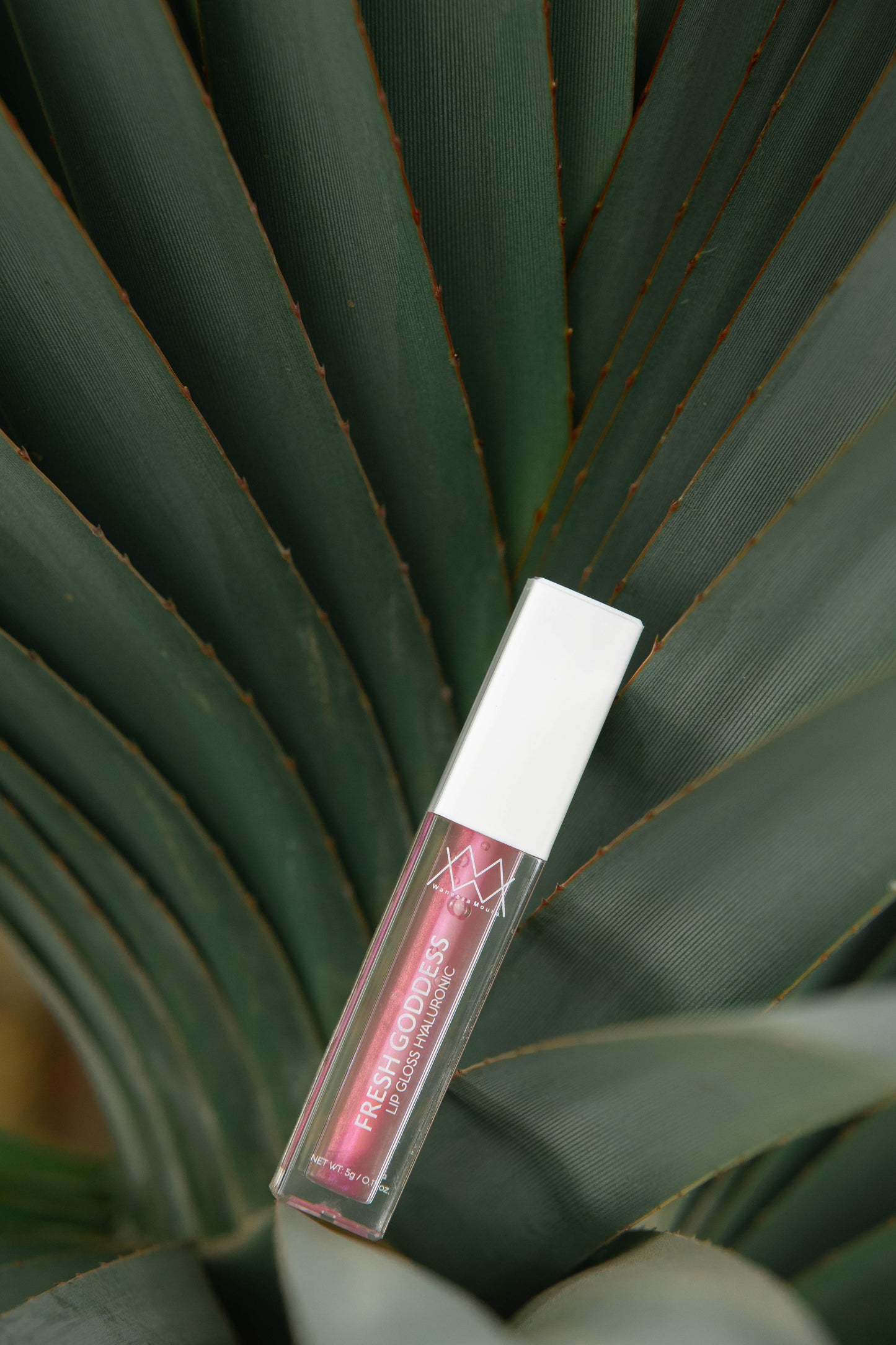 FRESH GODDESS - Lip Gloss Hyaluronic